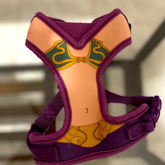 🪐3for$25🪐Princess Leia Star Wars Harness - Picture 1 of 6